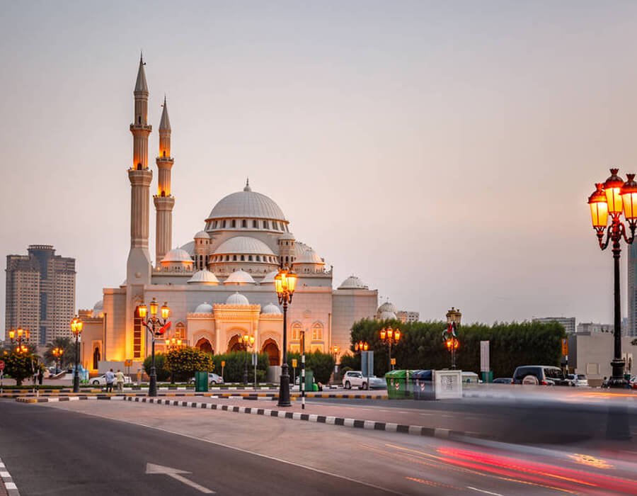 Website Designing In Sharjah