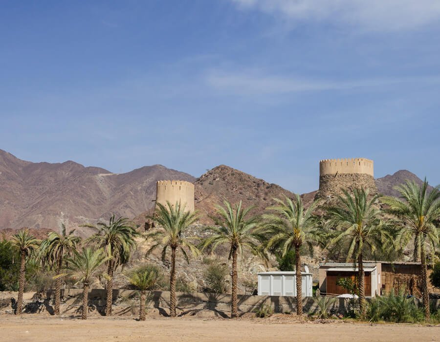 Website Designing In Fujairah